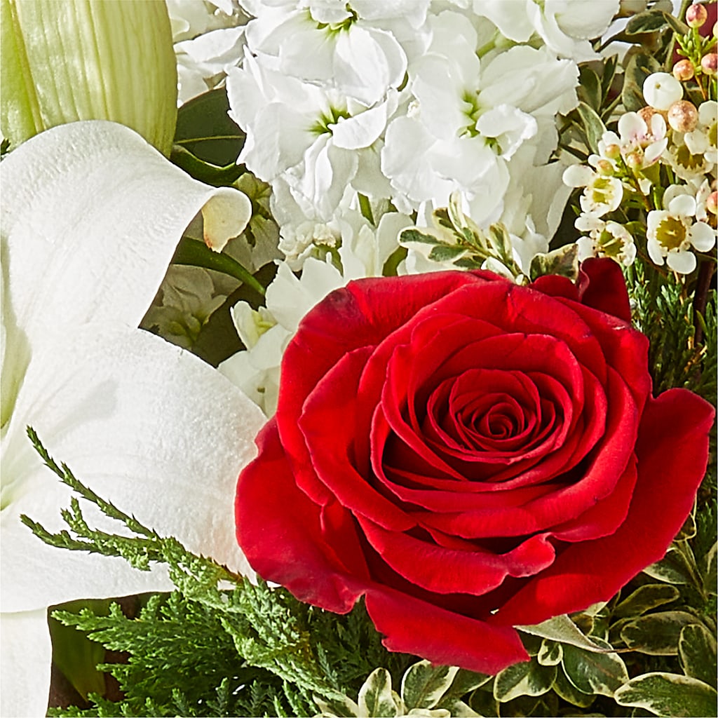 Twinkle Lights Bouquet –  Alachua Flowers, Alachua FL