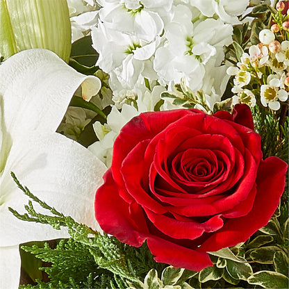 Twinkle Lights Bouquet –  Alachua Flowers, Alachua FL