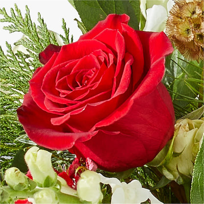 Deck the Halls Bouquet –  Alachua Flowers, Alachua FL