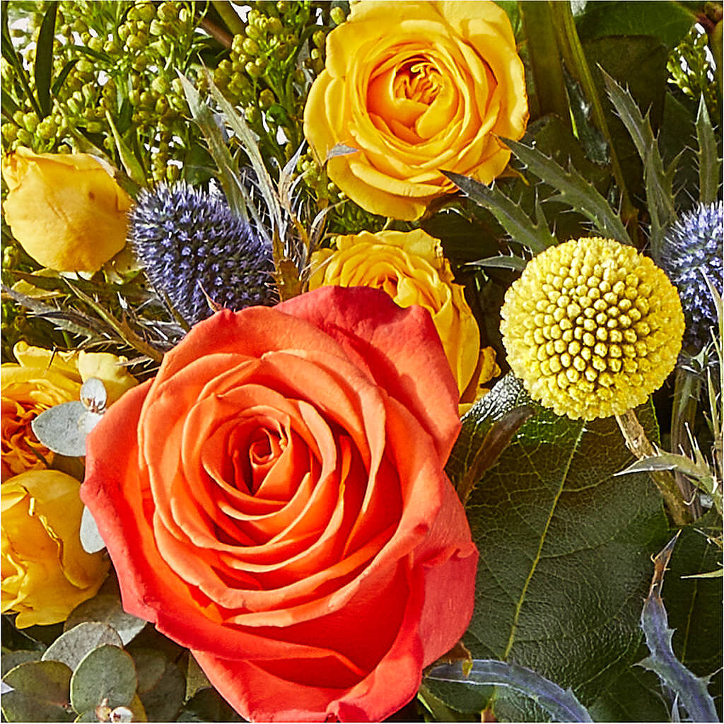 Disco Bouquet –  Alachua Flowers, Alachua FL