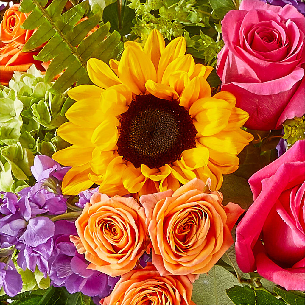Vibrant Greetings Bouquet –  Alachua Flowers, Alachua FL