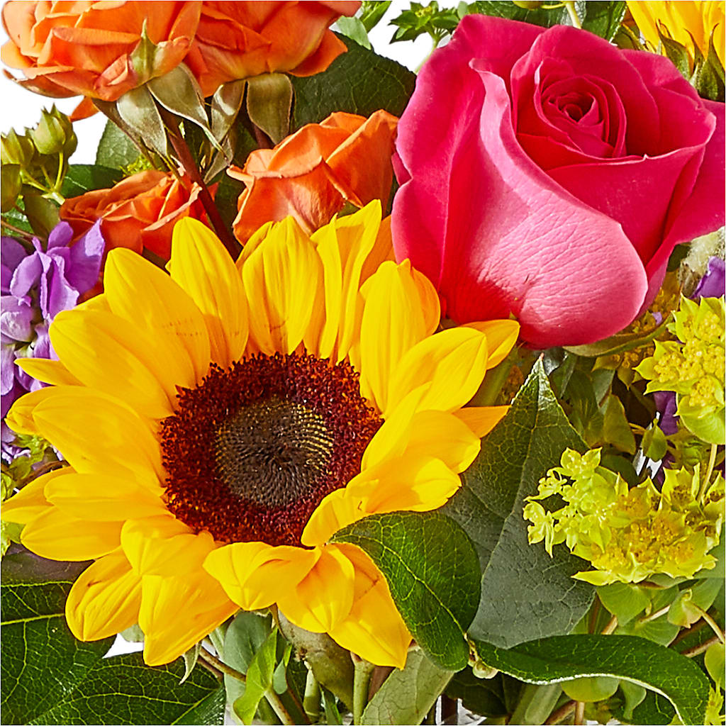 Vibrant Greetings Bouquet –  Alachua Flowers, Alachua FL