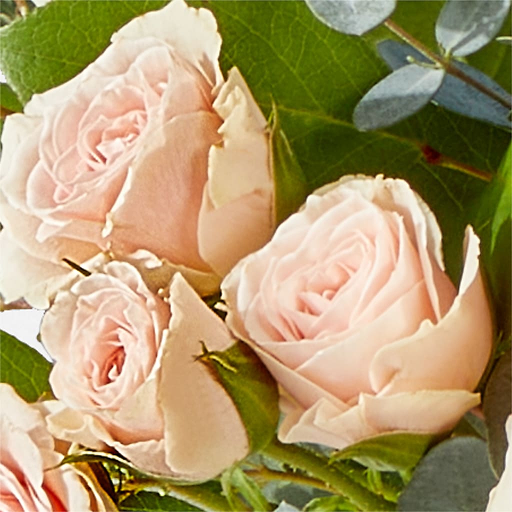 Inspired Bouquet –  Alachua Flowers, Alachua FL