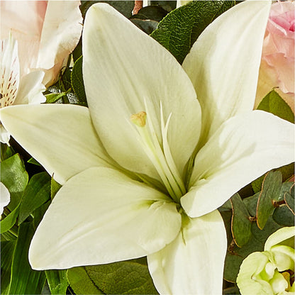Ballet Slippers Bouquet –  Alachua Flowers, Alachua FL