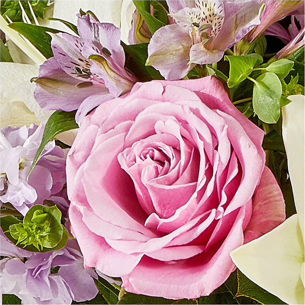Daydreamer Bouquet –  Alachua Flowers, Alachua FL