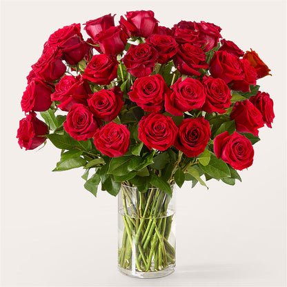 The One Red Rose Bouquet –  Alachua Flowers, Alachua FL