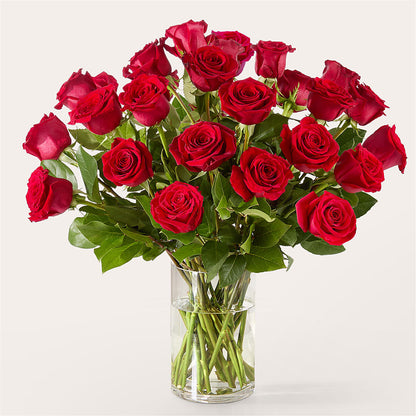 The One Red Rose Bouquet –  Alachua Flowers, Alachua FL