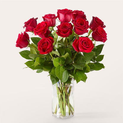 The One Red Rose Bouquet –  Alachua Flowers, Alachua FL