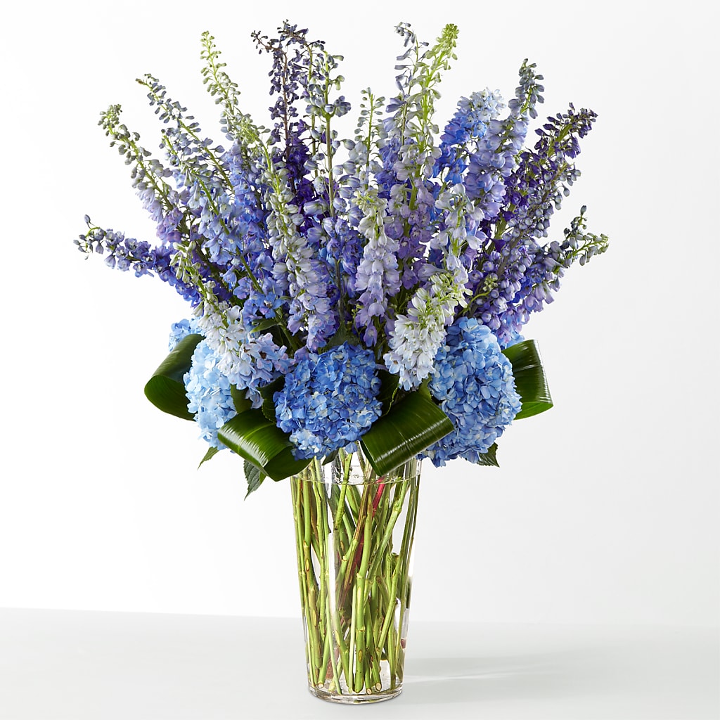 The Editorial –  Alachua Flowers, Alachua FL