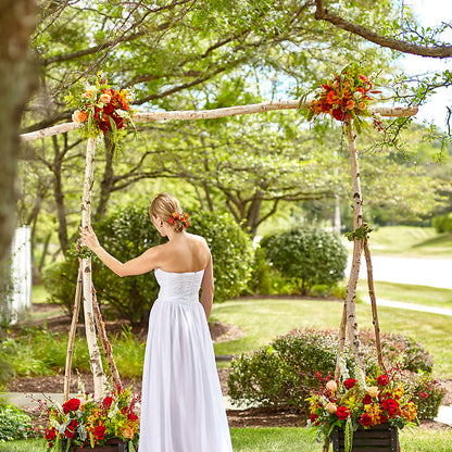 Arbor of Love Archway –  Alachua Flowers, Alachua FL