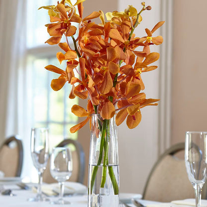 Orange Mokara Bud Vase –  Alachua Flowers, Alachua FL