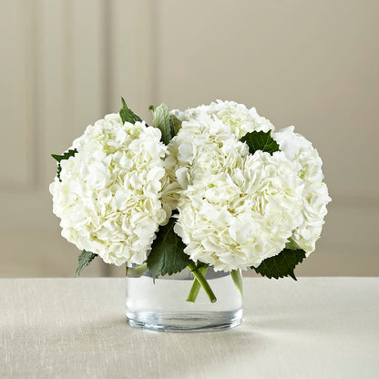 White Hydrangea Bouquet –  Alachua Flowers, Alachua FL